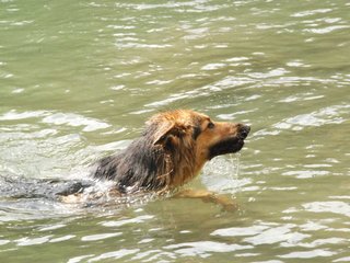 2010-05-22_ntb_8717