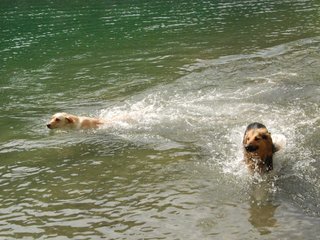 2010-05-22_ntb_8720