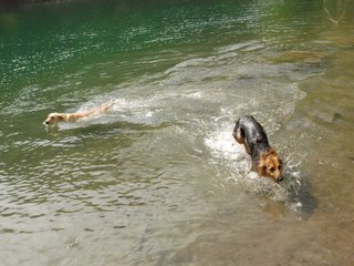 2010-05-22_ntb_8721