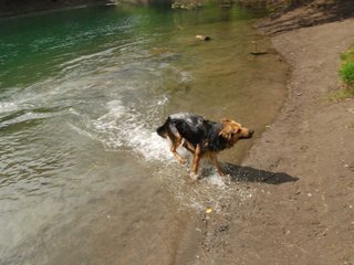 2010-05-22_ntb_8722