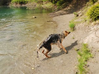 2010-05-22_ntb_8723
