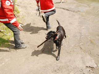 2010-05-22_ntb_8725