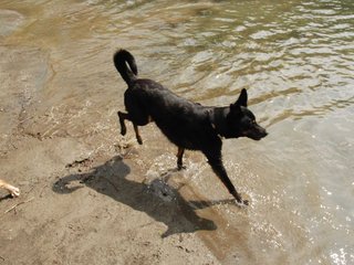 2010-05-22_ntb_8727