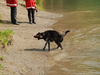 2010-05-22_ntb_8728