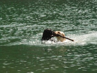 2010-05-22_ntb_8729