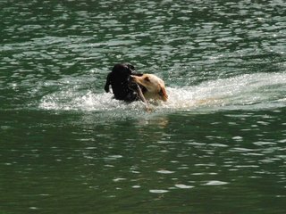 2010-05-22_ntb_8730