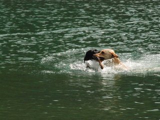 2010-05-22_ntb_8731