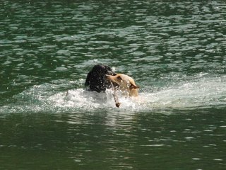 2010-05-22_ntb_8732