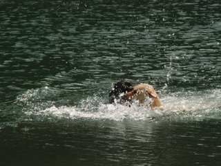 2010-05-22_ntb_8733