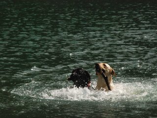 2010-05-22_ntb_8734
