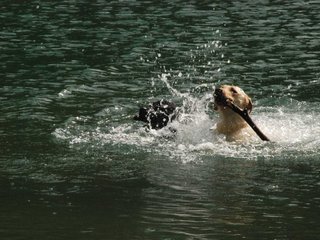 2010-05-22_ntb_8735