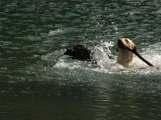 2010-05-22_ntb_8736