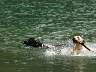 2010-05-22_ntb_8737