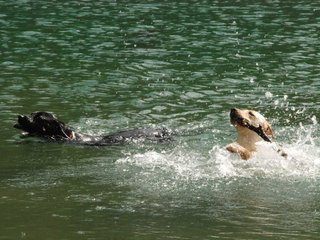 2010-05-22_ntb_8739