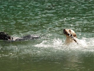 2010-05-22_ntb_8740