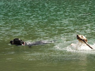 2010-05-22_ntb_8741