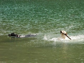 2010-05-22_ntb_8742