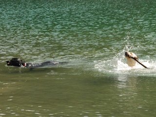 2010-05-22_ntb_8743