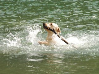 2010-05-22_ntb_8744