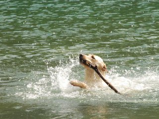 2010-05-22_ntb_8745