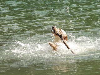 2010-05-22_ntb_8746