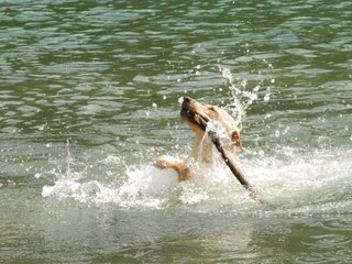 2010-05-22_ntb_8747
