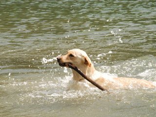 2010-05-22_ntb_8751