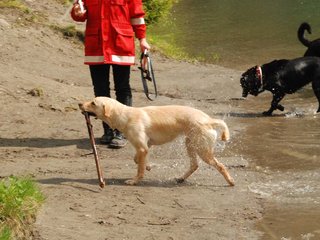 2010-05-22_ntb_8756