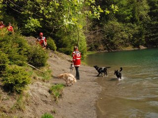 2010-05-22_ntb_8758