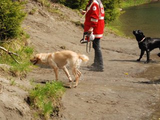 2010-05-22_ntb_8759