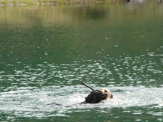 2010-05-22_ntb_8760