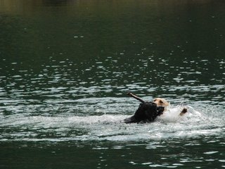 2010-05-22_ntb_8761