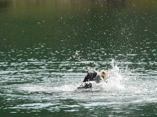 2010-05-22_ntb_8762