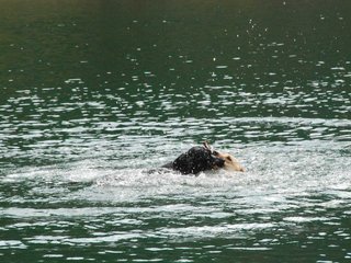 2010-05-22_ntb_8763