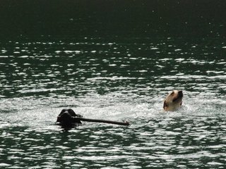2010-05-22_ntb_8764