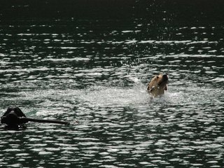 2010-05-22_ntb_8765