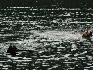 2010-05-22_ntb_8766