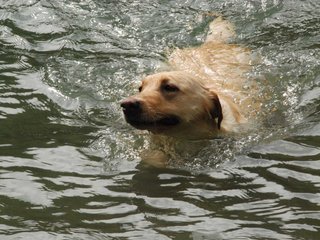 2010-05-22_ntb_8769