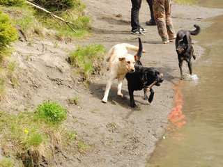 2010-05-22_ntb_8774