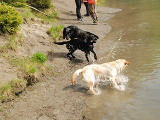 2010-05-22_ntb_8775