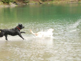 2010-05-22_ntb_8776