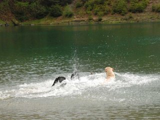 2010-05-22_ntb_8777