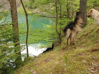 2010-05-22_ntb_8786