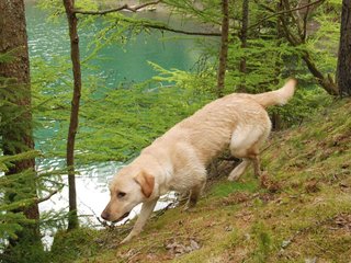 2010-05-22_ntb_8787