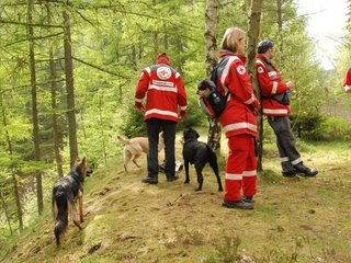 2010-05-22_ntb_8793