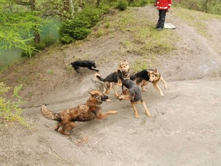 2010-05-22_ntb_8818