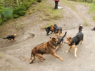 2010-05-22_ntb_8819