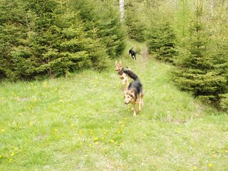 2010-05-22_ntb_8821