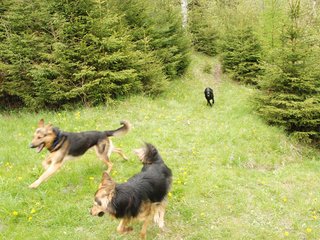2010-05-22_ntb_8822