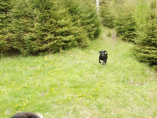 2010-05-22_ntb_8823